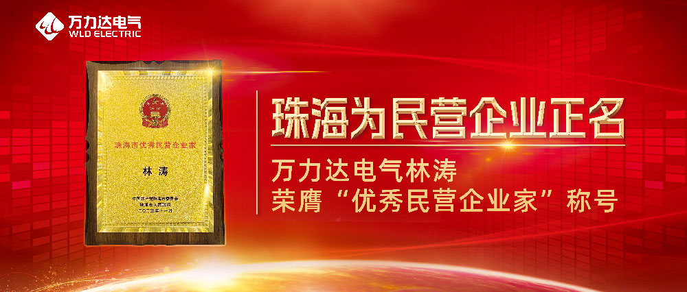 珠海为民营企业正名 口袋德州官网电气林涛荣膺“优秀民营企业家”称号